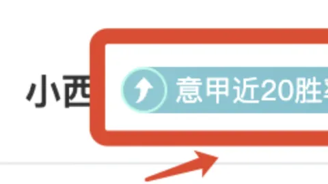 皇马与巴黎欲收购切尔西18岁右后卫阿奇姆彭，转会费或高达1500万欧
